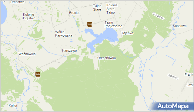 mapa Orzechówka gmina Rajgród, Orzechówka gmina Rajgród na mapie Targeo