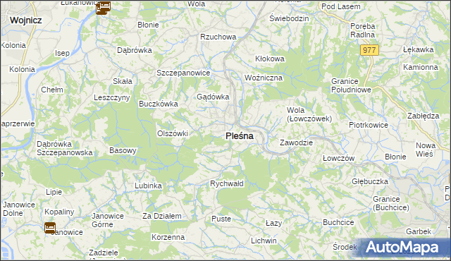 mapa Pleśna powiat tarnowski, Pleśna powiat tarnowski na mapie Targeo