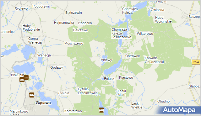 mapa Pniewy gmina Gąsawa, Pniewy gmina Gąsawa na mapie Targeo