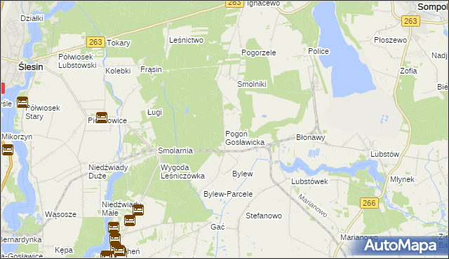 mapa Pogoń Gosławicka, Pogoń Gosławicka na mapie Targeo