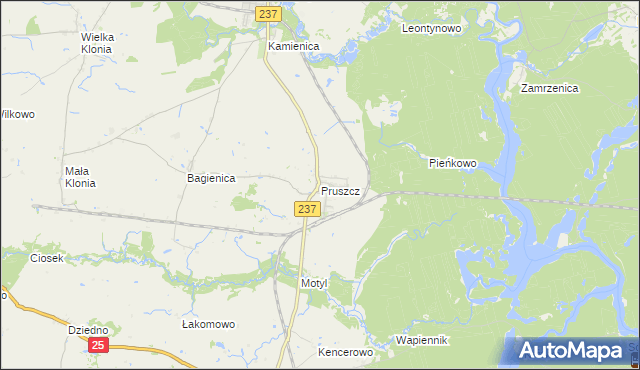 mapa Pruszcz gmina Gostycyn, Pruszcz gmina Gostycyn na mapie Targeo