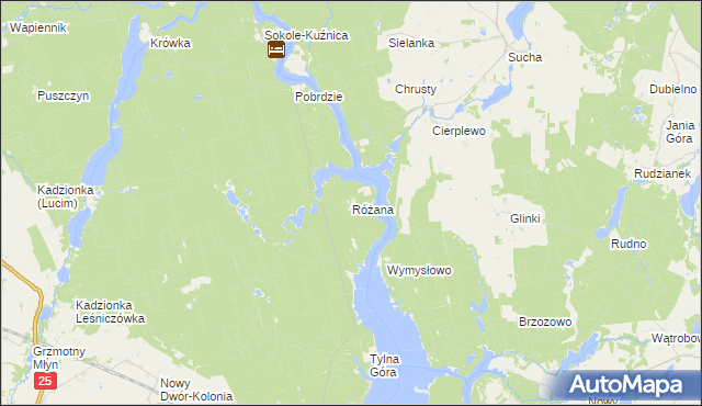 mapa Różana gmina Koronowo, Różana gmina Koronowo na mapie Targeo