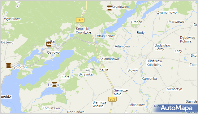 mapa Salamonowo, Salamonowo na mapie Targeo