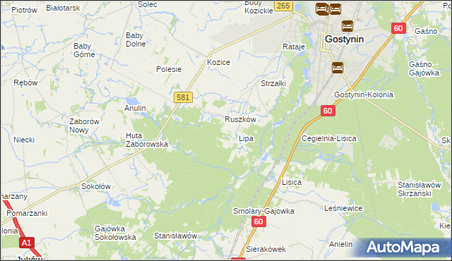 mapa Sałki gmina Gostynin, Sałki gmina Gostynin na mapie Targeo