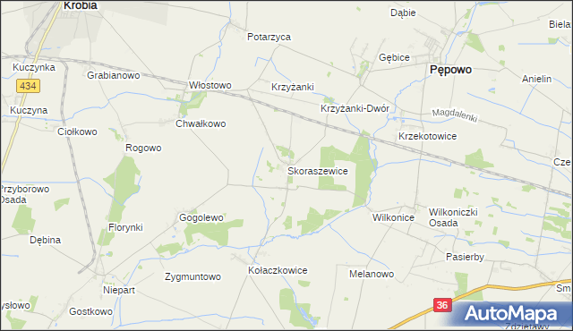 mapa Skoraszewice, Skoraszewice na mapie Targeo