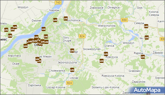 mapa Skowieszynek, Skowieszynek na mapie Targeo