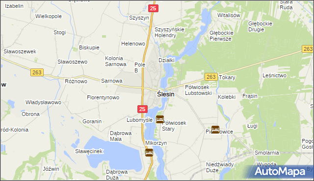mapa Ślesin powiat koniński, Ślesin powiat koniński na mapie Targeo
