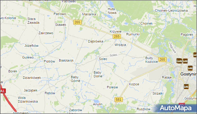 mapa Solec gmina Gostynin, Solec gmina Gostynin na mapie Targeo