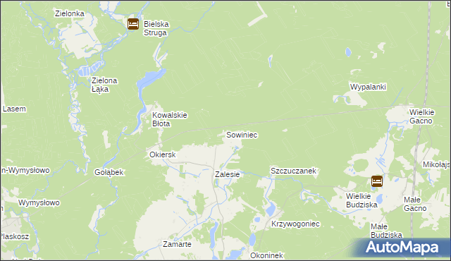 mapa Sowiniec gmina Cekcyn, Sowiniec gmina Cekcyn na mapie Targeo