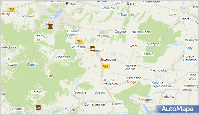 mapa Strzegowa gmina Wolbrom, Strzegowa gmina Wolbrom na mapie Targeo