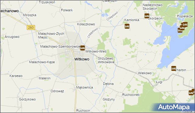 mapa Strzyżewo Witkowskie, Strzyżewo Witkowskie na mapie Targeo