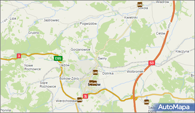 mapa Świny gmina Bolków, Świny gmina Bolków na mapie Targeo