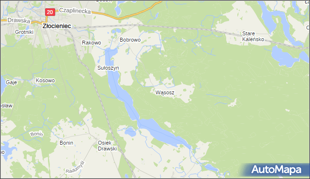 mapa Wąsosz gmina Złocieniec, Wąsosz gmina Złocieniec na mapie Targeo
