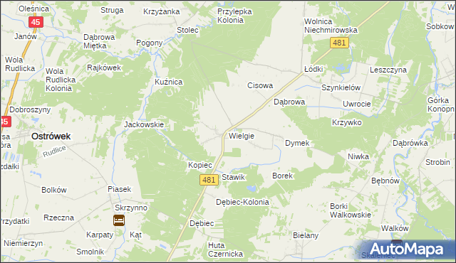 mapa Wielgie gmina Ostrówek, Wielgie gmina Ostrówek na mapie Targeo