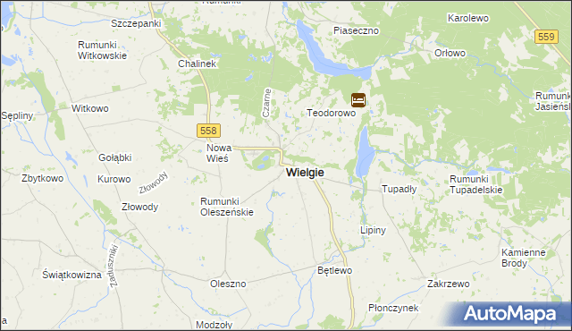 mapa Wielgie powiat lipnowski, Wielgie powiat lipnowski na mapie Targeo