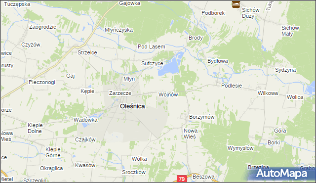 mapa Wojnów gmina Oleśnica, Wojnów gmina Oleśnica na mapie Targeo