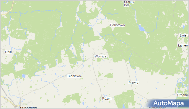 mapa Wolnica gmina Lubomino, Wolnica gmina Lubomino na mapie Targeo