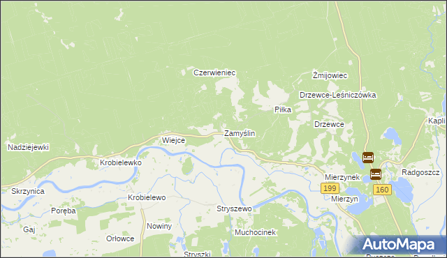 mapa Zamyślin gmina Międzychód, Zamyślin gmina Międzychód na mapie Targeo