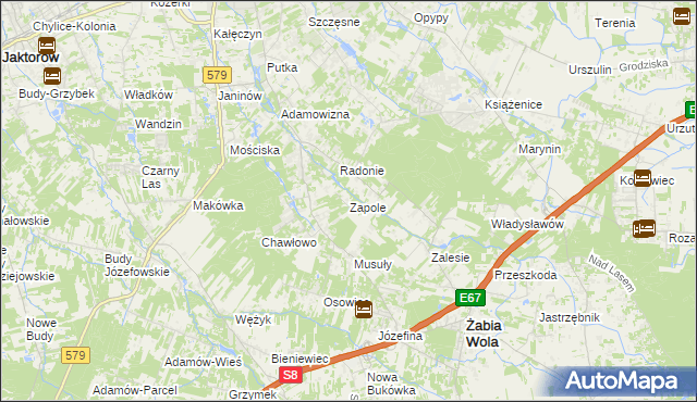 mapa Zapole gmina Grodzisk Mazowiecki, Zapole gmina Grodzisk Mazowiecki na mapie Targeo