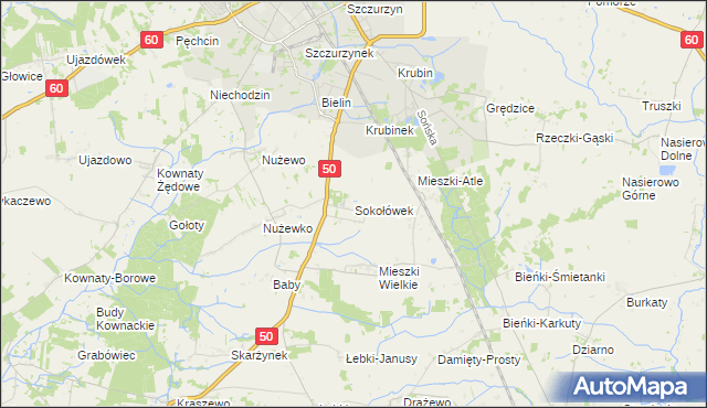 mapa Sokołówek gmina Ciechanów, Sokołówek gmina Ciechanów na mapie Targeo