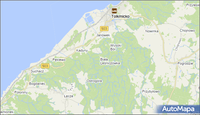 mapa Biała Leśniczówka gmina Tolkmicko, Biała Leśniczówka gmina Tolkmicko na mapie Targeo