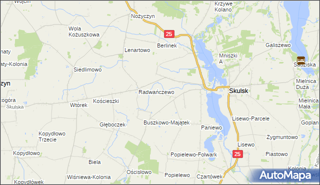 mapa Buszkowo gmina Skulsk, Buszkowo gmina Skulsk na mapie Targeo