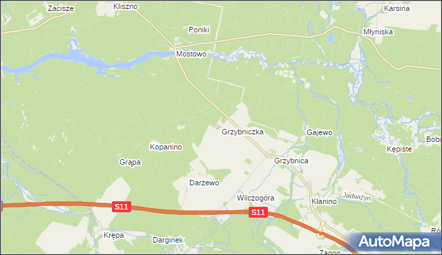 mapa Grzybniczka, Grzybniczka na mapie Targeo