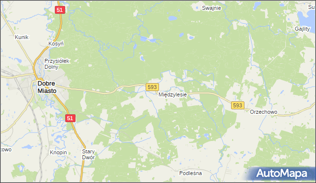 mapa Międzylesie gmina Dobre Miasto, Międzylesie gmina Dobre Miasto na mapie Targeo