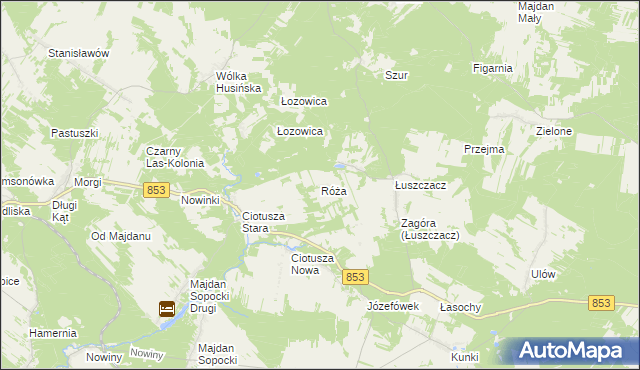 mapa Róża gmina Susiec, Róża gmina Susiec na mapie Targeo