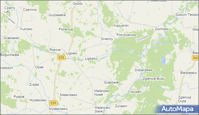 mapa Kokoszczyn gmina Mochowo, Kokoszczyn gmina Mochowo na mapie Targeo