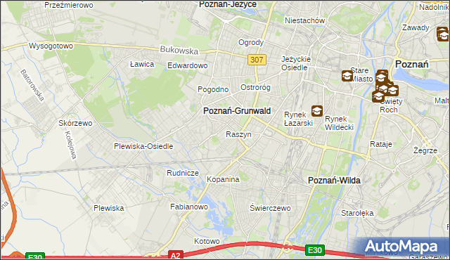 mapa Raszyn gmina Poznań, Raszyn gmina Poznań na mapie Targeo