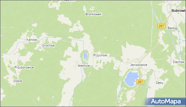 mapa Przychów, Przychów na mapie Targeo
