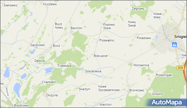 mapa Biskupice gmina Przemęt, Biskupice gmina Przemęt na mapie Targeo