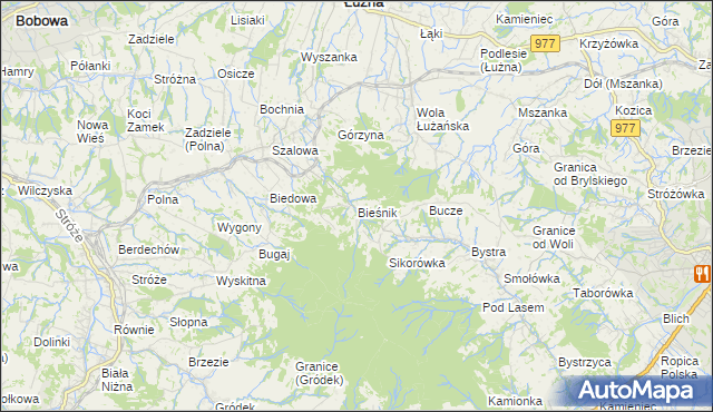 mapa Bieśnik gmina Łużna, Bieśnik gmina Łużna na mapie Targeo