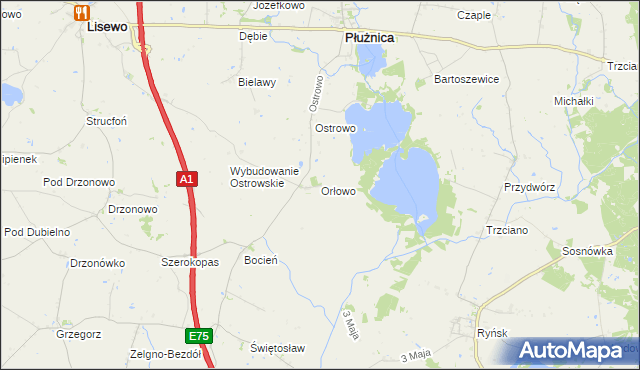 mapa Orłowo gmina Płużnica, Orłowo gmina Płużnica na mapie Targeo