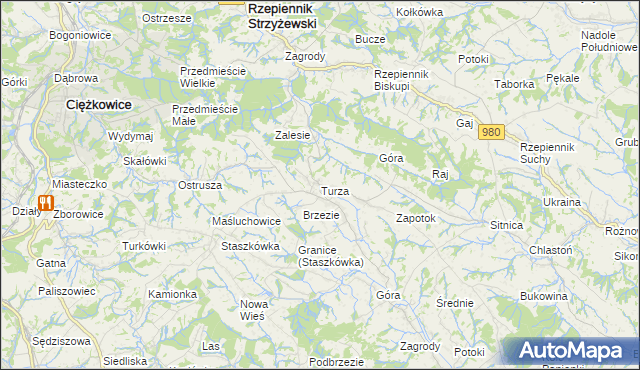 mapa Turza gmina Rzepiennik Strzyżewski, Turza gmina Rzepiennik Strzyżewski na mapie Targeo