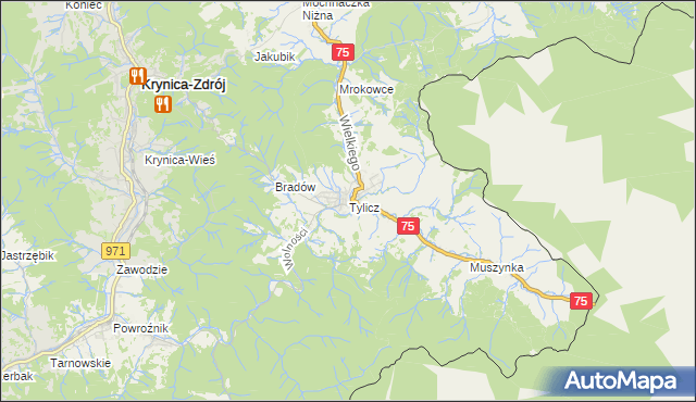 mapa Tylicz, Tylicz na mapie Targeo