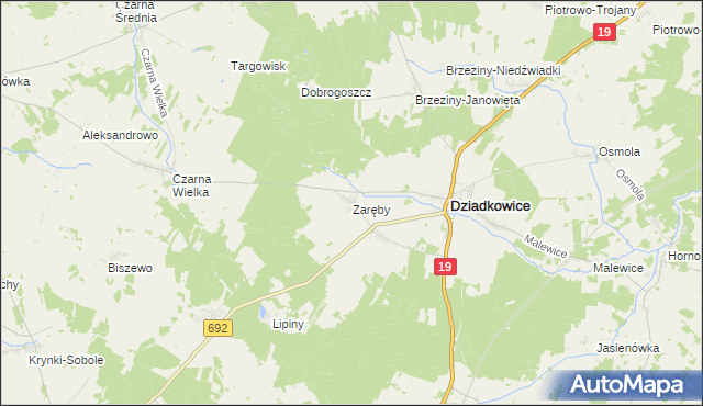 mapa Zaręby gmina Dziadkowice, Zaręby gmina Dziadkowice na mapie Targeo