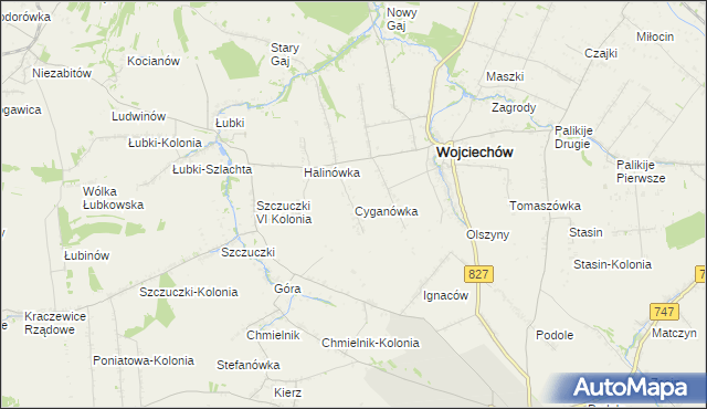 mapa Cyganówka gmina Wojciechów, Cyganówka gmina Wojciechów na mapie Targeo