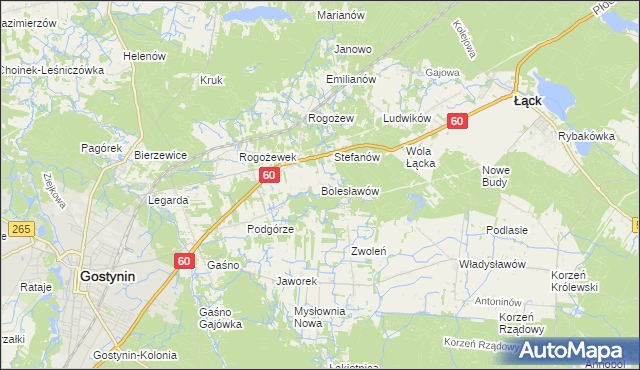 mapa Bolesławów gmina Gostynin, Bolesławów gmina Gostynin na mapie Targeo