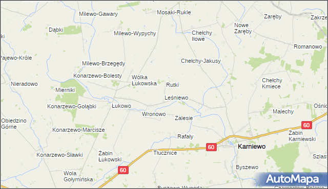 mapa Leśniewo gmina Karniewo, Leśniewo gmina Karniewo na mapie Targeo