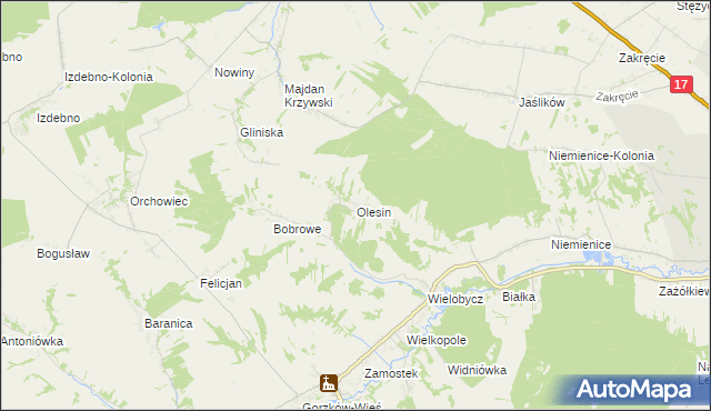 mapa Olesin gmina Gorzków, Olesin gmina Gorzków na mapie Targeo