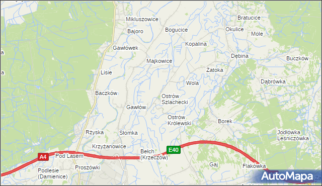 mapa Ostrów Szlachecki, Ostrów Szlachecki na mapie Targeo