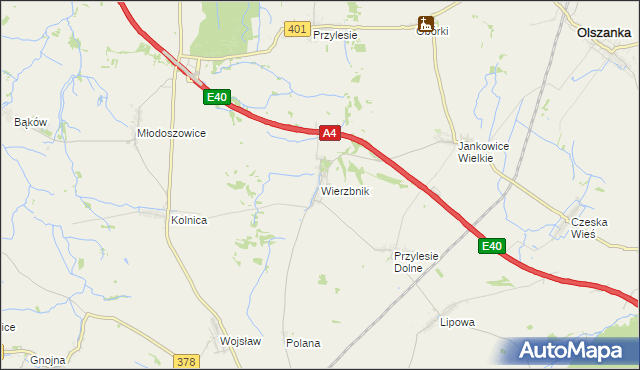 mapa Wierzbnik gmina Grodków, Wierzbnik gmina Grodków na mapie Targeo