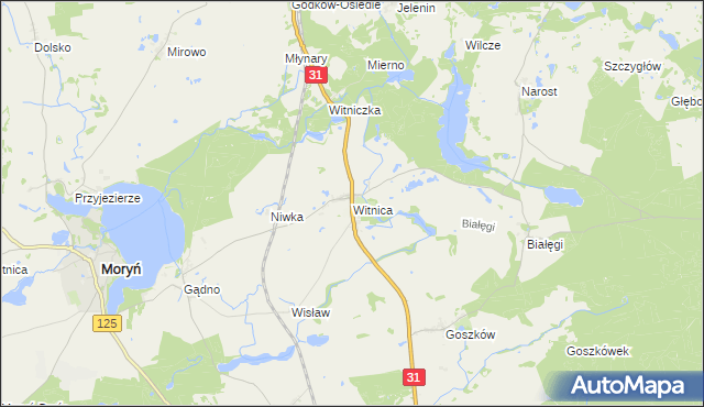 mapa Witnica gmina Moryń, Witnica gmina Moryń na mapie Targeo