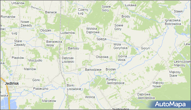 mapa Olszowa gmina Jastrzębia, Olszowa gmina Jastrzębia na mapie Targeo