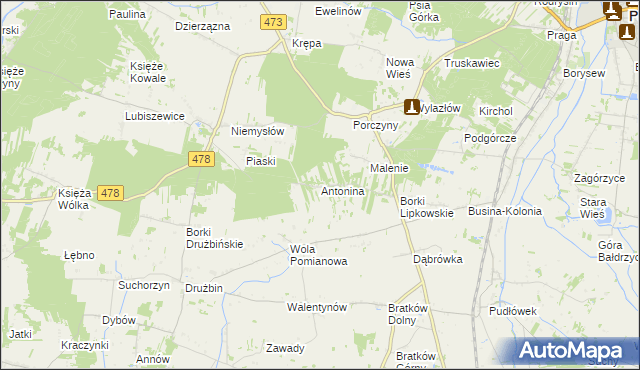 mapa Antonina gmina Poddębice, Antonina gmina Poddębice na mapie Targeo