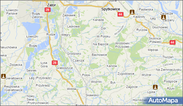 mapa Bachowice, Bachowice na mapie Targeo