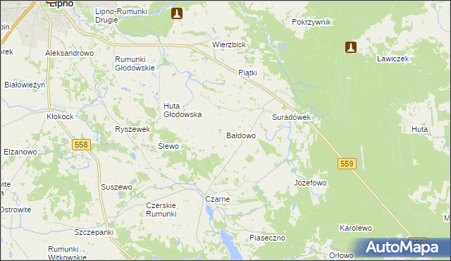 mapa Bałdowo gmina Wielgie, Bałdowo gmina Wielgie na mapie Targeo