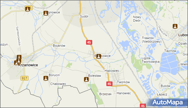 mapa Bieńkowice gmina Krzyżanowice, Bieńkowice gmina Krzyżanowice na mapie Targeo